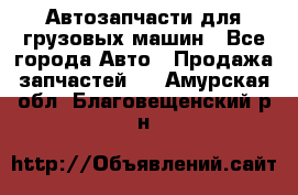 Автозапчасти для грузовых машин - Все города Авто » Продажа запчастей   . Амурская обл.,Благовещенский р-н